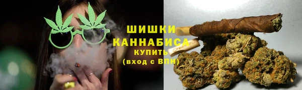 2c-b Почеп