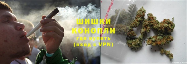 бошки Алексин