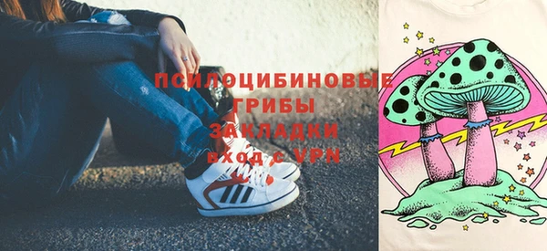 бошки Алексин